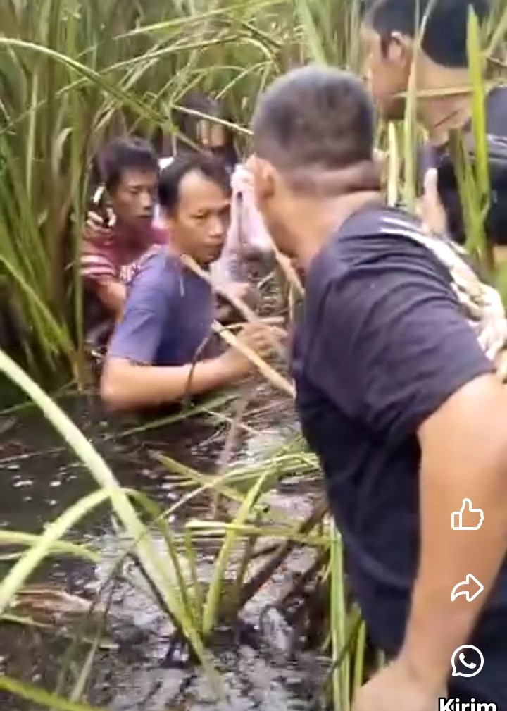 Polisi Berhasil Tangkap Pelaku Pembunuh Ibu dan Anak di Palembang