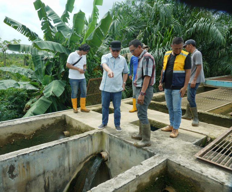 Pj. Bupati Banyuasin Tinjau Jalan, Jembatan Dan PDAM Desa Merah Mata Kecamatan Banyuasin I