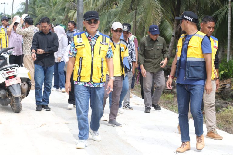 Pj. Bupati Banyuasin Lanjut Tinjau Ruas Jalan TAA – Teluk Payo, 30℅ Progress Berjalan